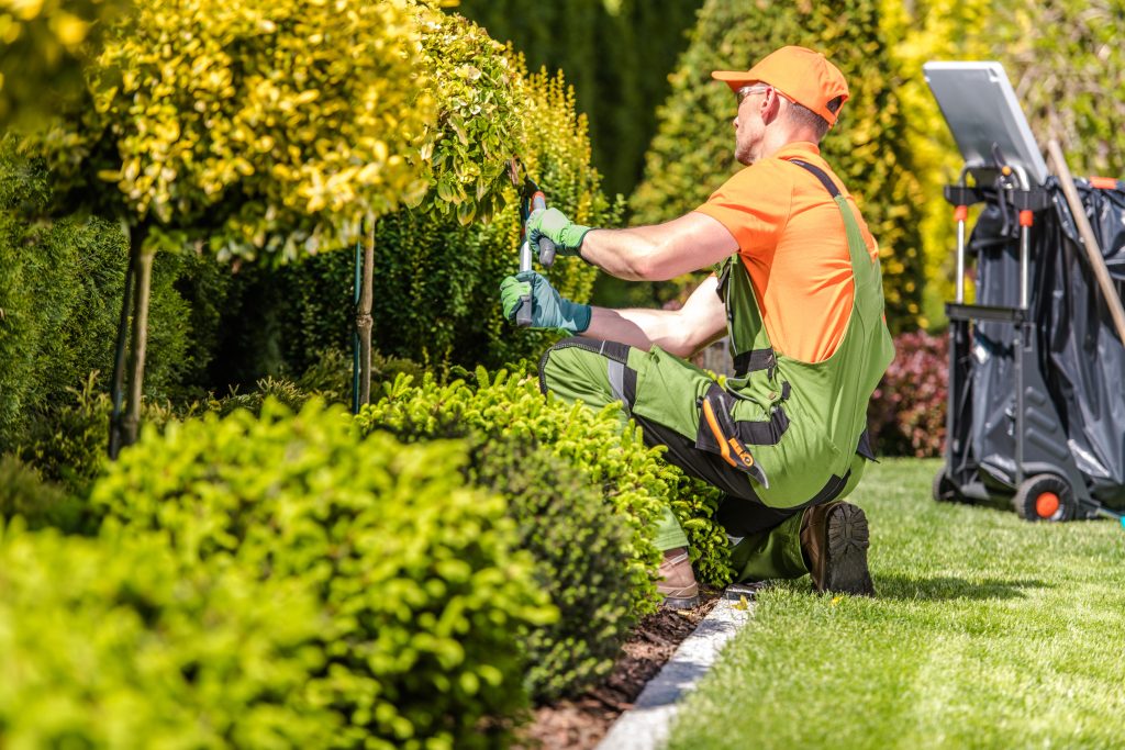 Landscaping Insurance
